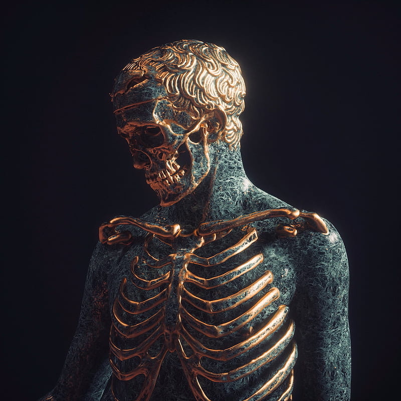Skull, statue skeleton, HD phone wallpaper