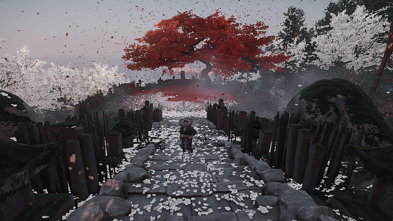 Video Game, Ghost of Tsushima, Jin Sakai, Samurai, Warrior, HD wallpaper