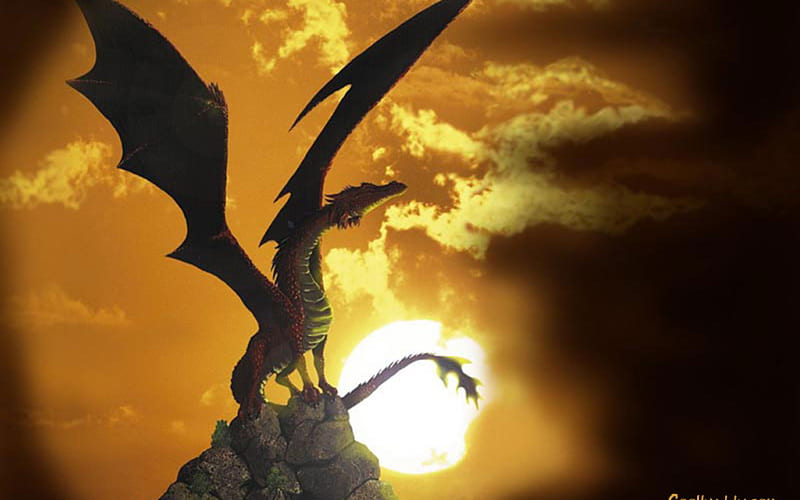 the sun dragon, f, HD wallpaper