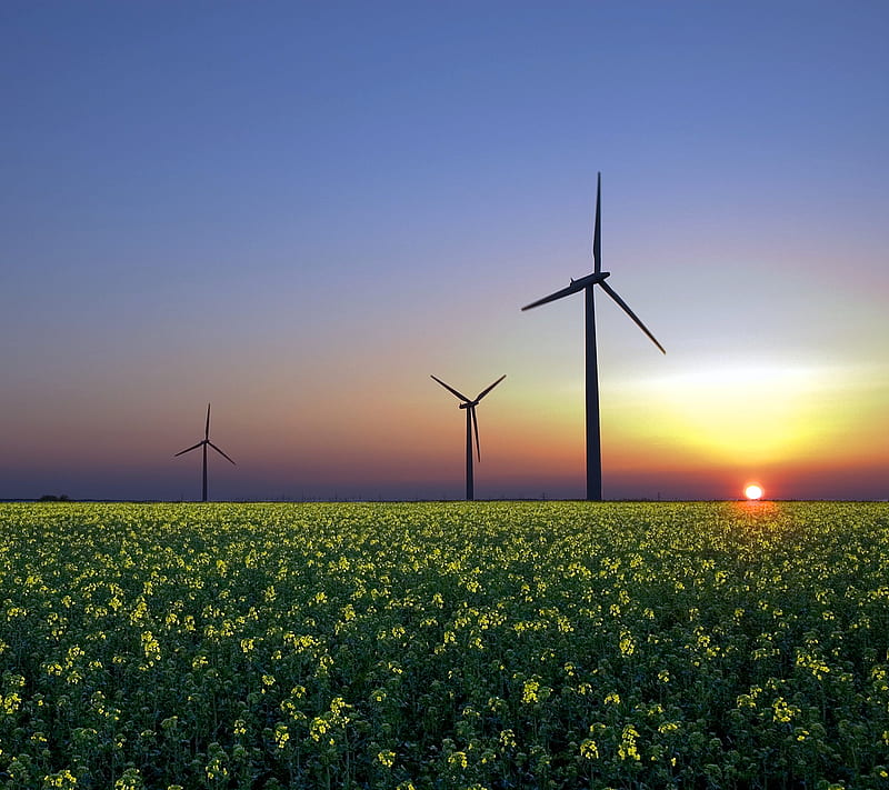 Wind Sunset, flowers, grass, turbine, windmill, HD wallpaper