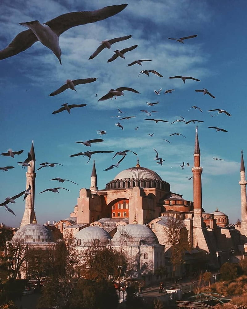 Ayasofya Camii Istanbul. Hagia Sophia Mosque #Istanbul. Istanbul graphy, Visit istanbul, Istanbul turkey graphy, HD phone wallpaper