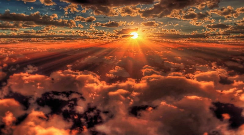 Sun rising, skies, sun, cloud, rise, HD wallpaper