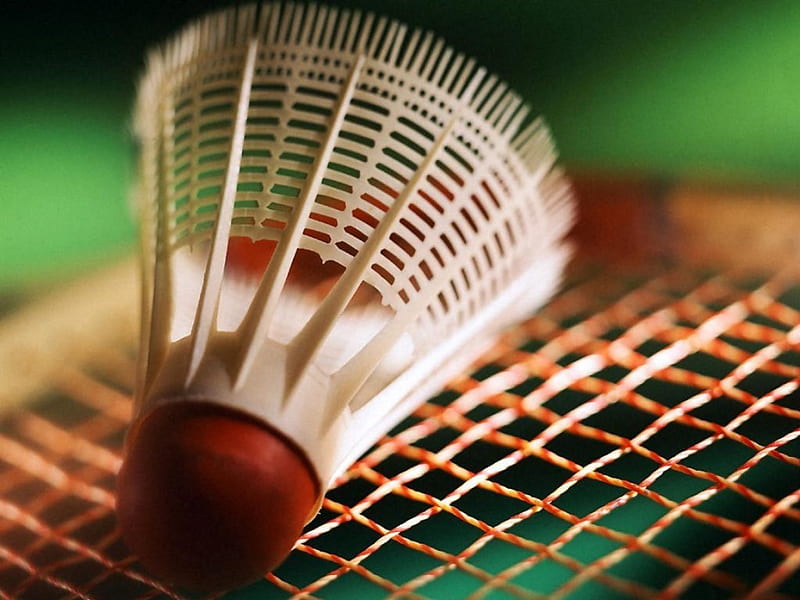 badminton, racket, strings, shuttlecock, HD wallpaper