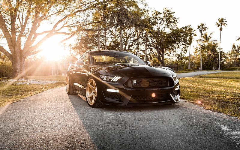 Ford Mustang Shelby GT350, black sports coupe, tuning, bronze wheels, new black Mustang, American sports cars, Ford, HD wallpaper