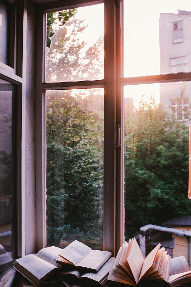books beside window during sunset, HD phone wallpaper