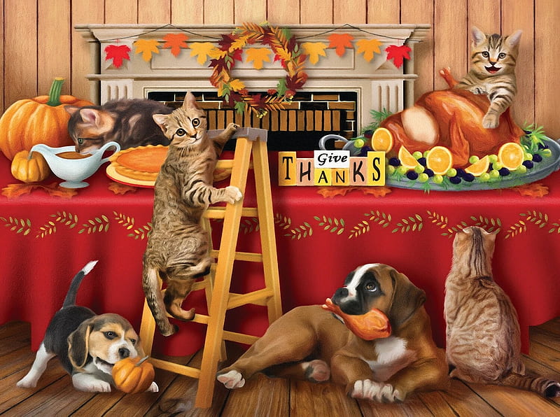 Give thanks, red, art, orange, food, ciane, cat, thanksgiving, pumpkin, painting, funny, pisici, kitten, dog, puppy, HD wallpaper