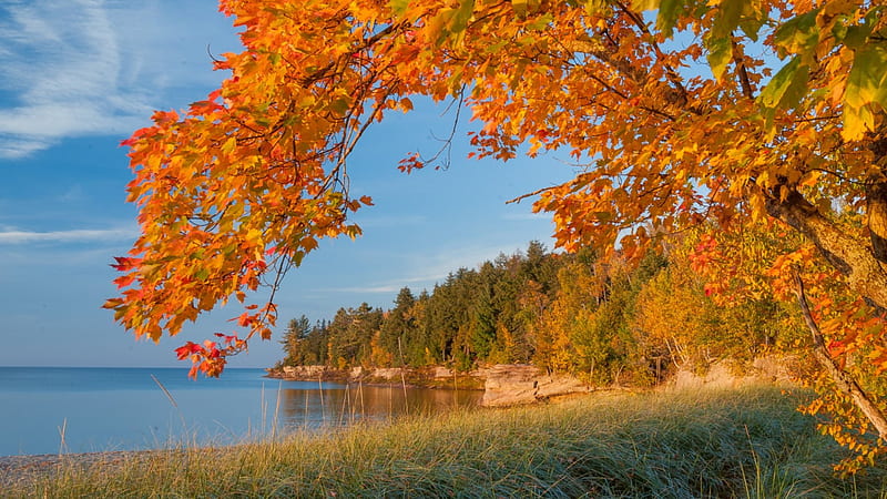 autumn lake shore in michigan, autumn, shore, grass, trees, lake, HD wallpaper