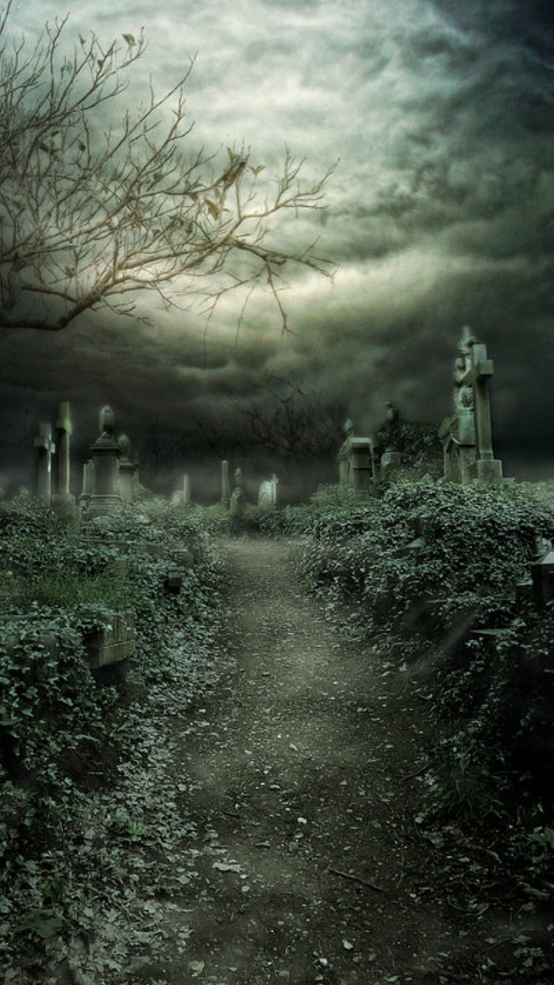 The Graveyard, dead, halloween, scary, spooky, HD phone wallpaper | Peakpx