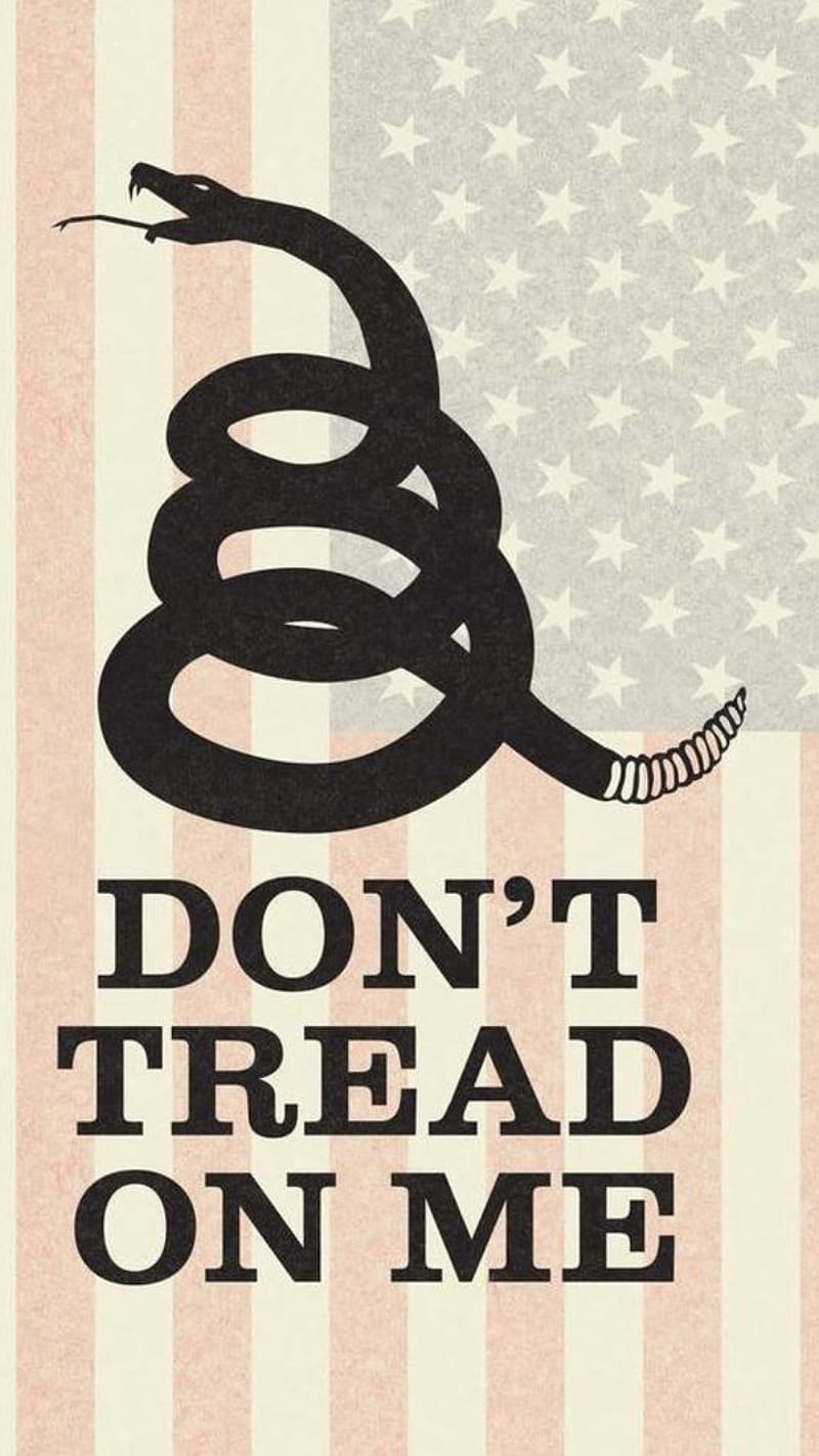 Dont tread snake, 2nd amendment, flag, political, quote, quotes, side, HD phone wallpaper