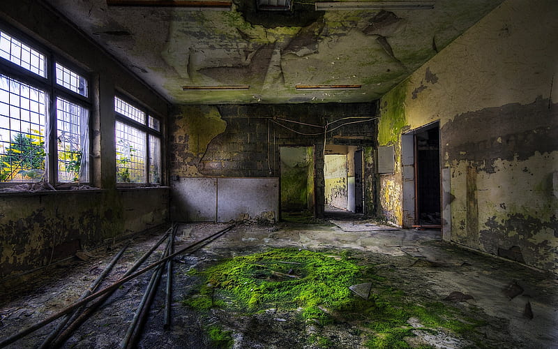 Life in Decay The beauty of Urban Decay, HD wallpaper