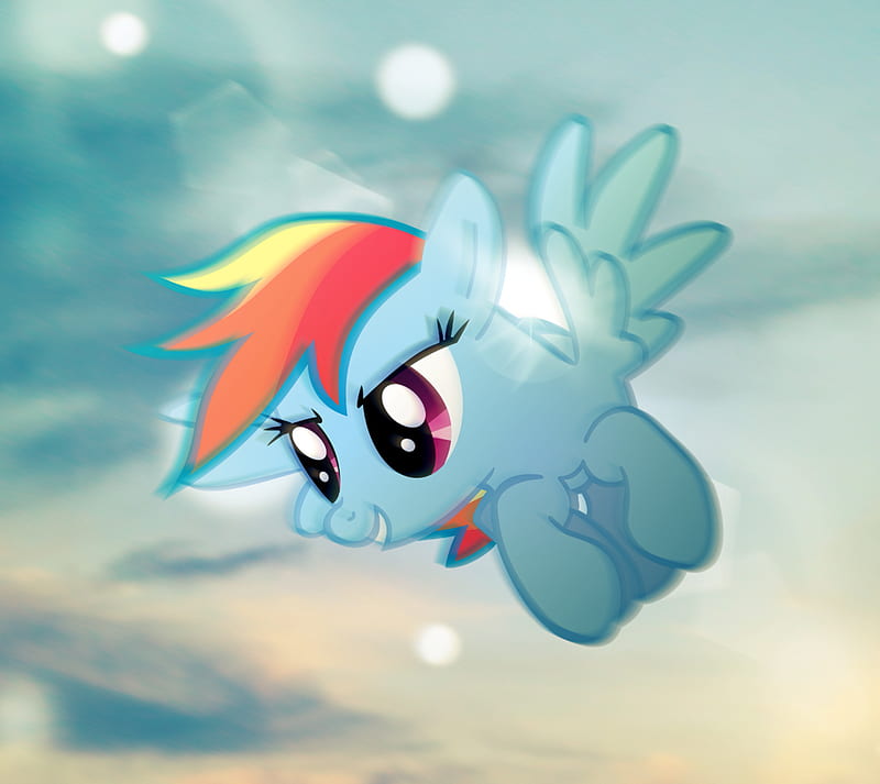 Rainbow Dash, brony, fim, horse, mlp, my little pony, pony, rd, HD wallpaper