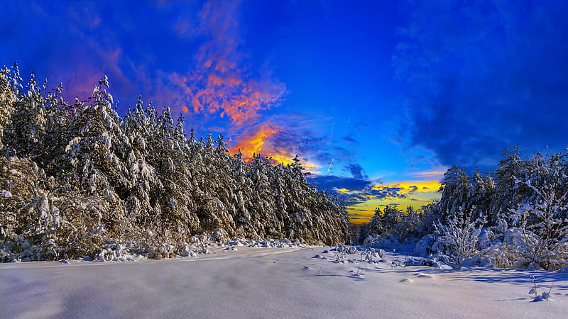 Winter landscape, forest, bonito, trees, sky, ski, winter, mountain, snow, slope, landscape, frost, HD wallpaper