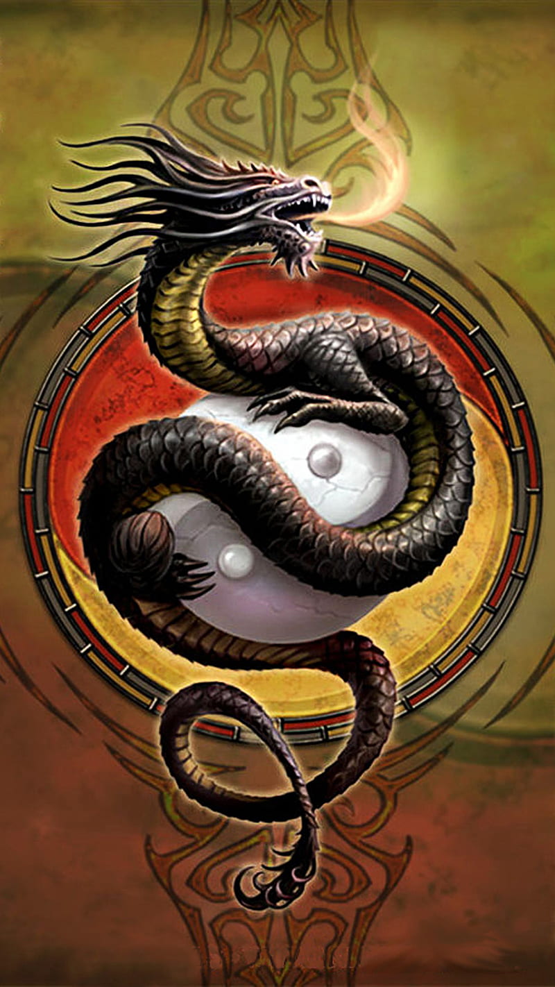 dragon, china, fire, logo, sign yang, yin, HD phone wallpaper