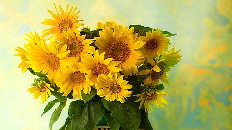 sunflowers, autumn, yellow, green, bouquet, summer, flowers, nature, sunshine, HD wallpaper