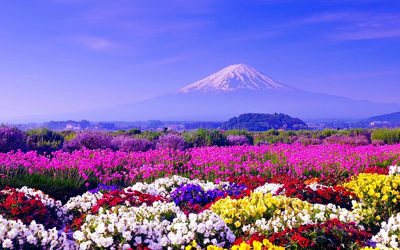 Landscape, Flower, , Colorful, Japan, Volcano, Mount Fuji, Volcanoes, HD wallpaper