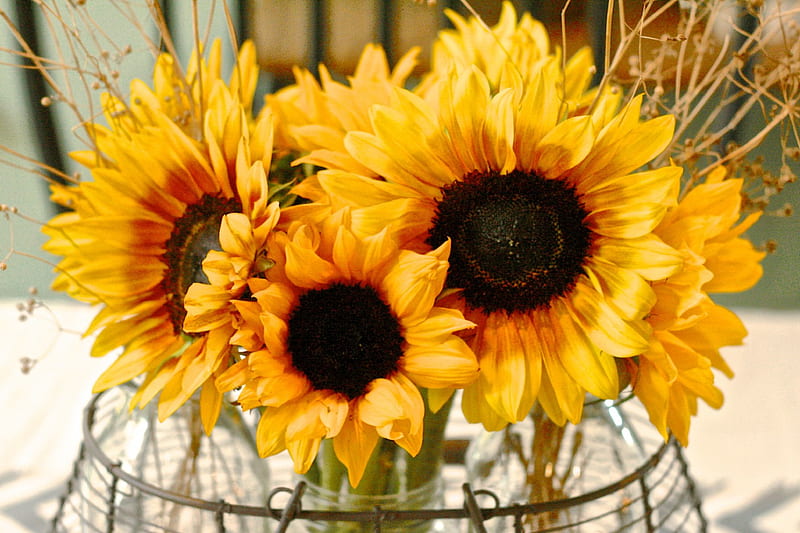 Autumn Delight, autumn, sunflowers, bouquet, yellow, sunny, beauty, HD wallpaper