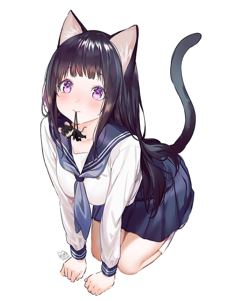 Anime girls, simple background, school uniform, nekomimi, cat girl, long  hair, HD phone wallpaper | Peakpx