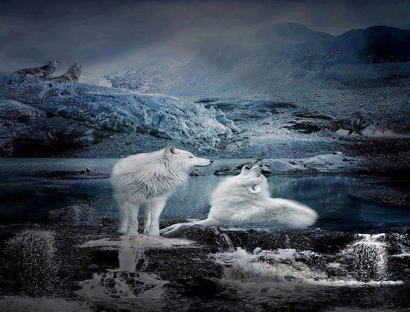 Beautiful White Wolf Fantasy, fantasy, abstract, wolves, animals, HD wallpaper