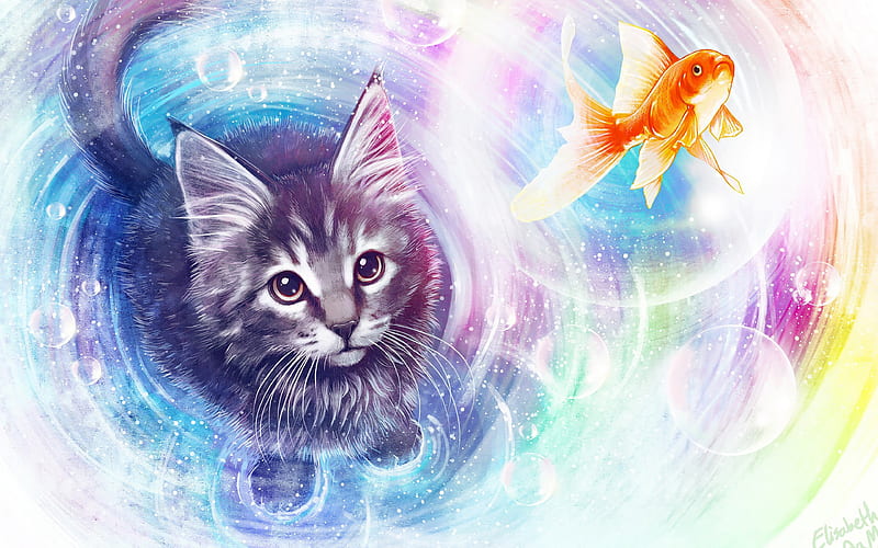 :), cat, goldfish, blue, view from the top, art, orange, fish, peste, fantasy, pink, kitten, dream, pisici, HD wallpaper