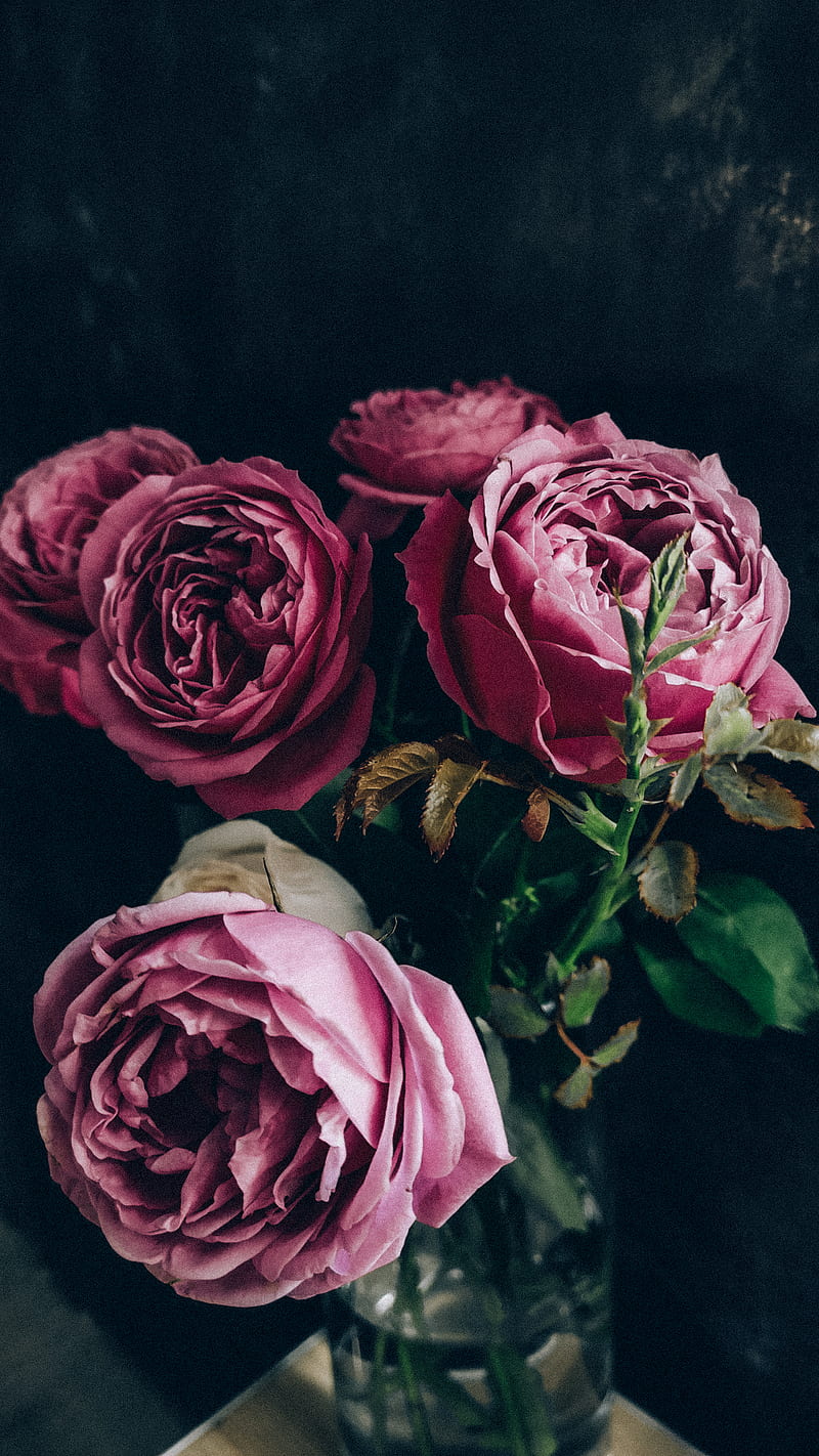 Vase with fresh delicate roses placed on table, HD phone wallpaper