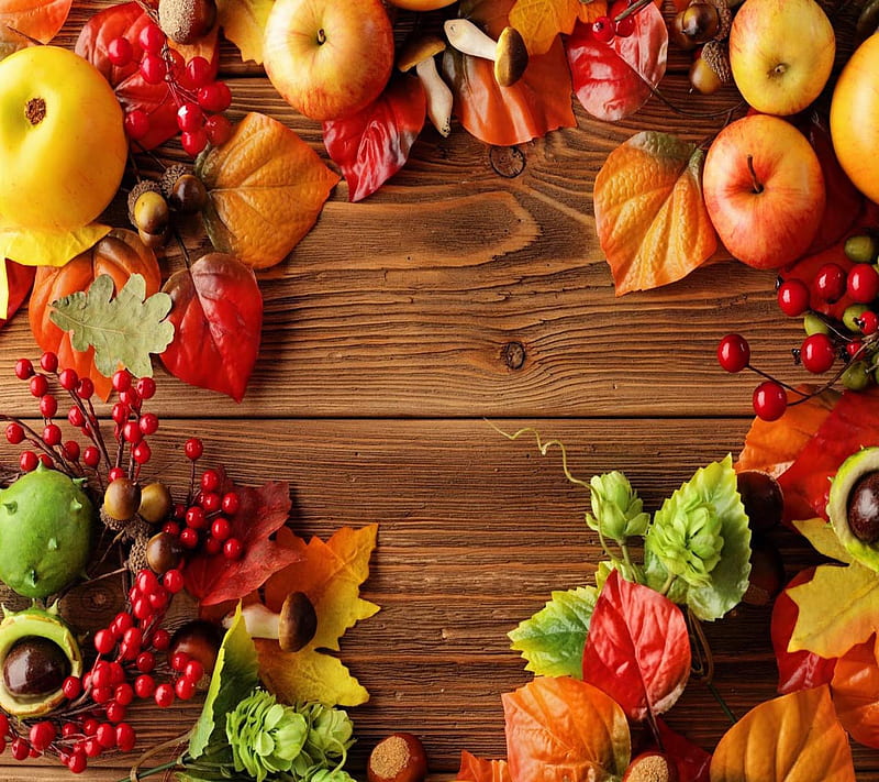 Autumn fruits, look, nice, HD wallpaper
