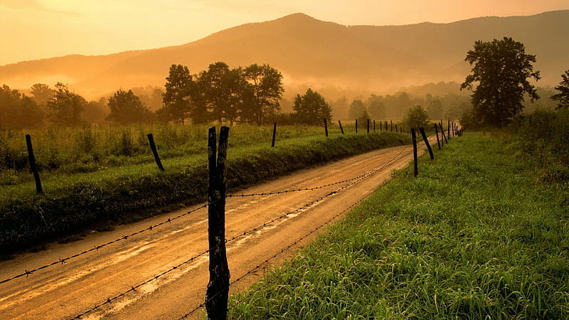 Golden Misty Morning, barbed wire fence, grass, golden, bonito, sky, muddy, mountains, misty, morning, road, HD wallpaper