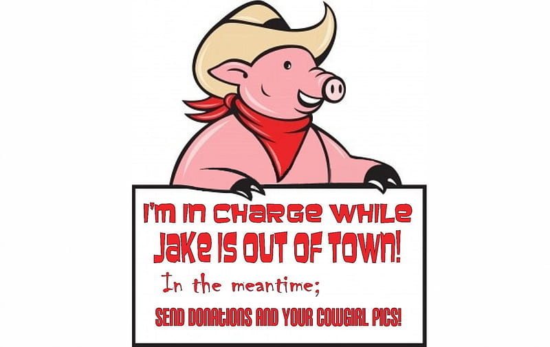 CowPig In Charge, out of town, pigs, signs, funny, cowboy, western, HD wallpaper