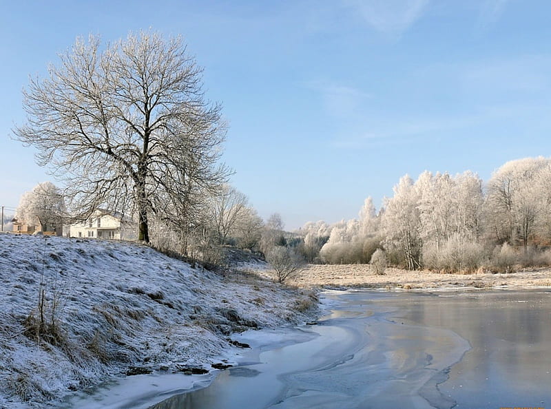 Winter, tree, river, snow, HD wallpaper | Peakpx