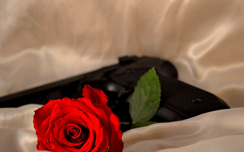 GUN & ROSE, flower, graphy, gun, rose, HD wallpaper
