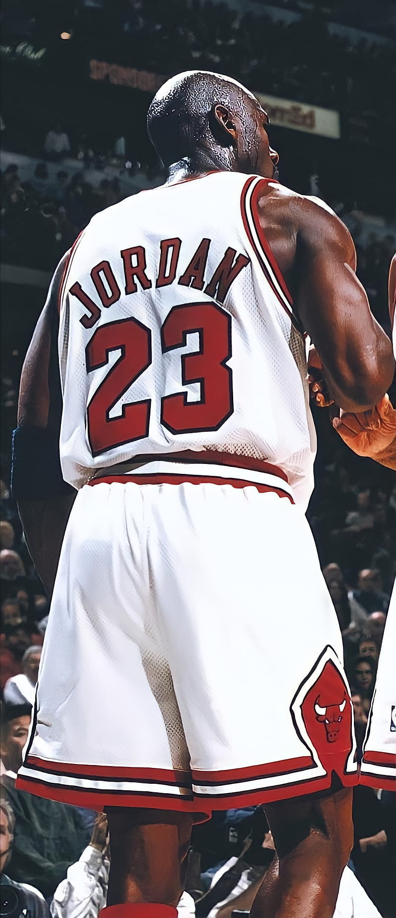 Michael Jordan, basketball, nba, chicago bulls, HD phone wallpaper | Peakpx