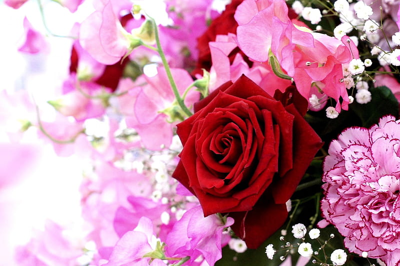 LOVELY FLOWERS, red, bouquet, flowers, nature, roses, HD wallpaper | Peakpx