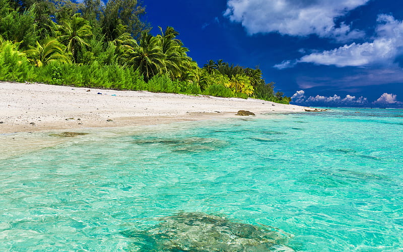 Tropical island, beach, ocean, cote d'azur, Maldives, blue lagoon, palm trees, summer travels, HD wallpaper