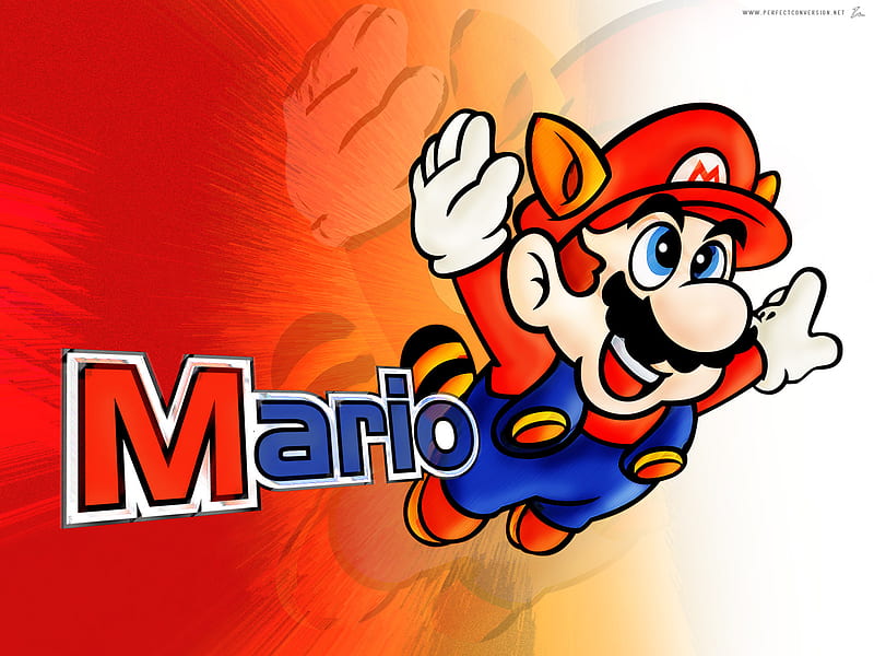 Mario, tanuki, nintendo, tanooki, super mario bros 3, tanooki mario, tanuki mario, HD wallpaper