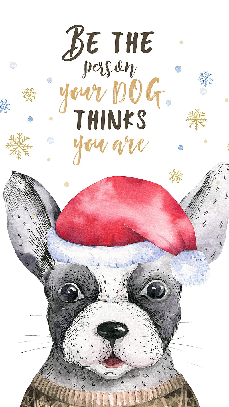 Be The Person, boston terrier, christmas, dog christmas , dog mom , dog , merry christmas, phone, HD phone wallpaper