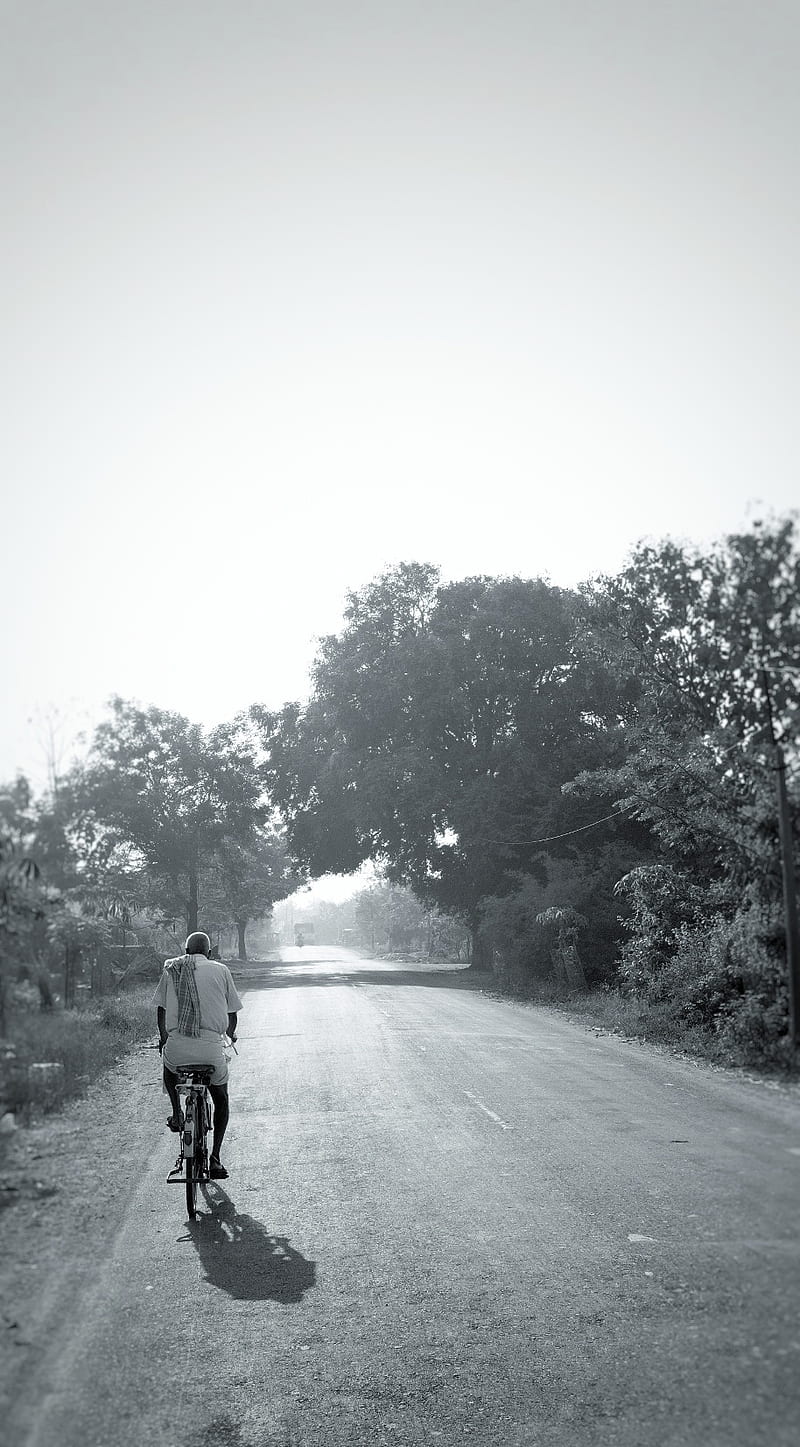 Man on Bicycle, backview, farmer, farmers, heaven, riding, road, shadow, trees, HD phone wallpaper