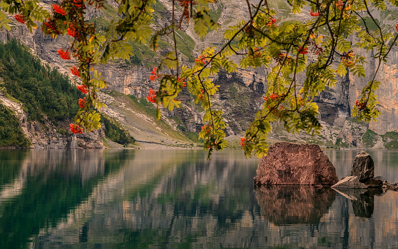 Austria, lake, mountains, beautiful nature, trees, Europe, austrian nature, HD wallpaper
