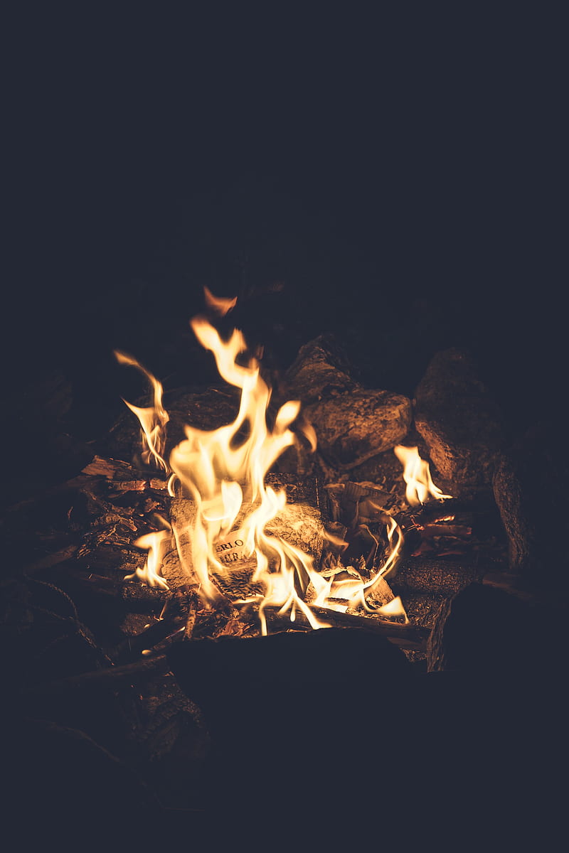 camp, bonfire, wood, flames, darkness, night, fire, Nature, HD phone wallpaper