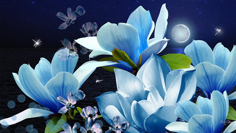 Night of Magic, lotus, sea, pond, water, full moon, dragonflies, flowers, lily, reflection, Firefox Persona theme, blue, HD wallpaper