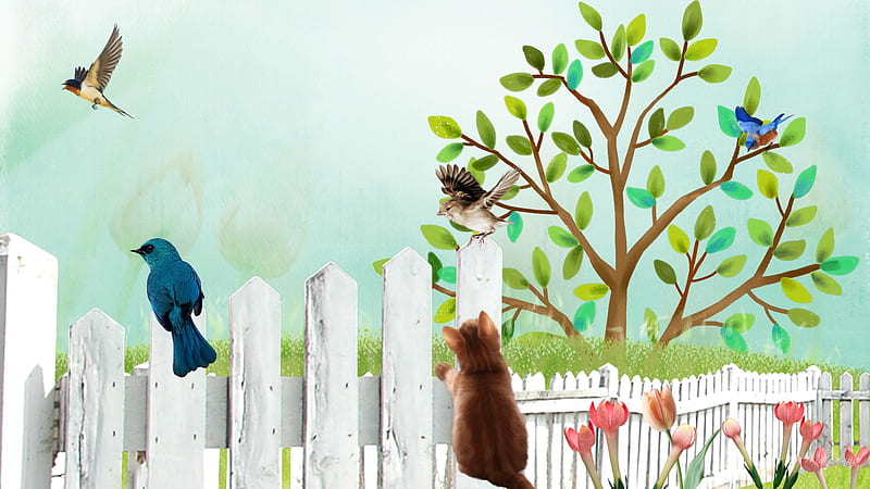 Birds Watch, fence, tree, birds, flowers, firefox persona, spring, cat, HD wallpaper