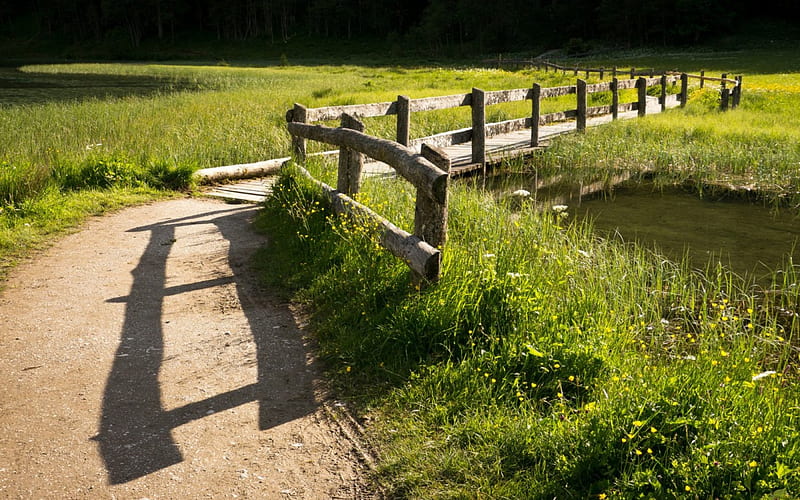 small bridge, river, bridge, small, field, HD wallpaper