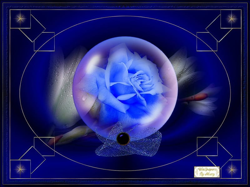 Magic Blue, lilies, flowers, globes, roses, HD wallpaper
