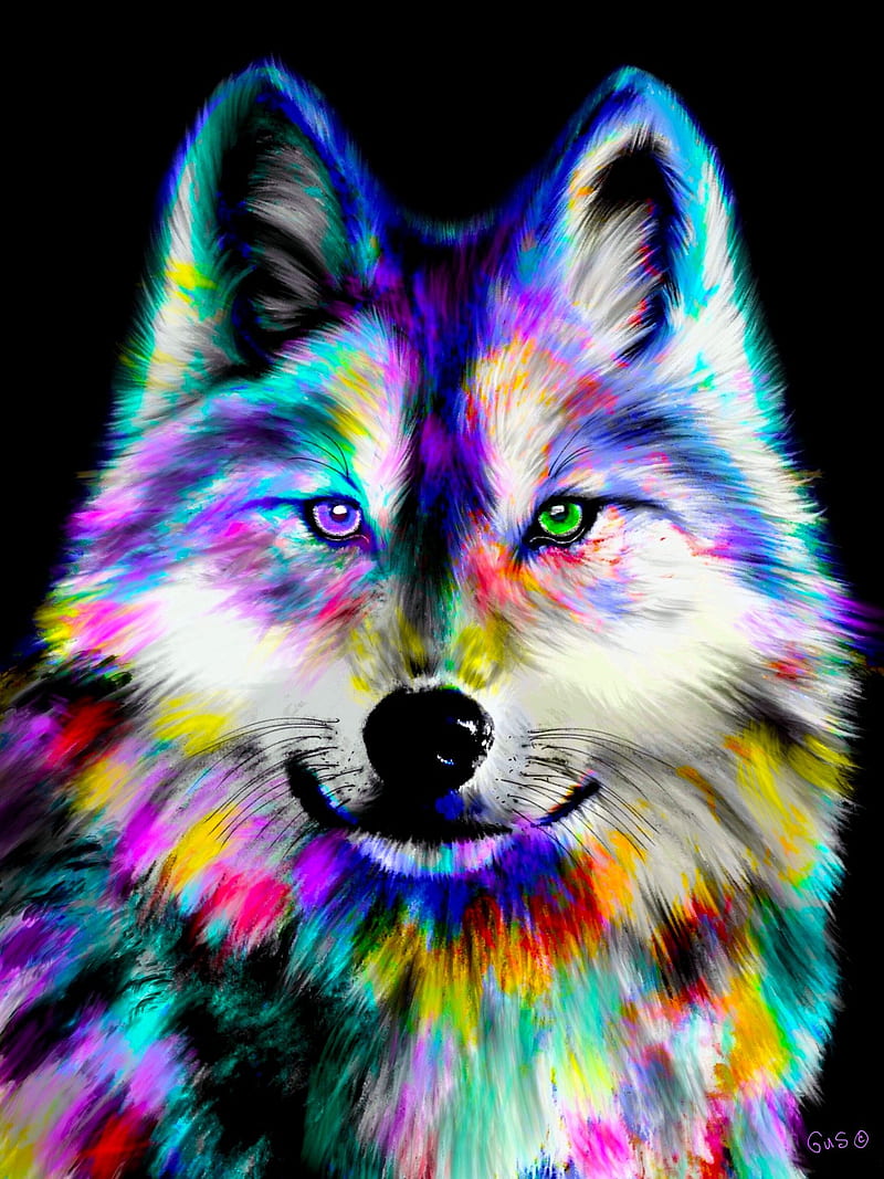 Rainbow Wolf, fantasy, wolves, HD phone wallpaper