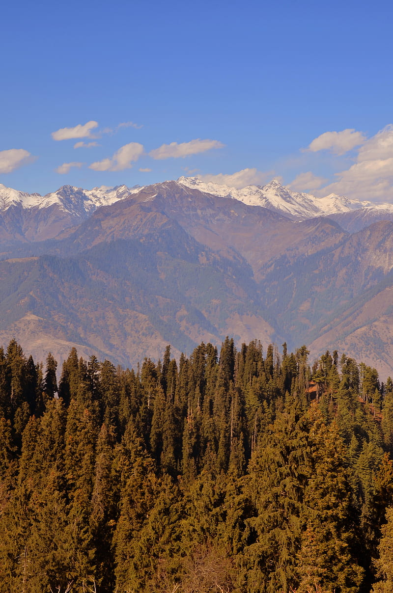 Nature, beauty, green, greenery, mountains, natural, north, pakistan, snow, trees, HD phone wallpaper