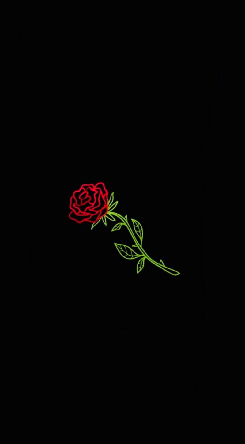 Red rose, flower, lights, black, HD phone wallpaper | Peakpx