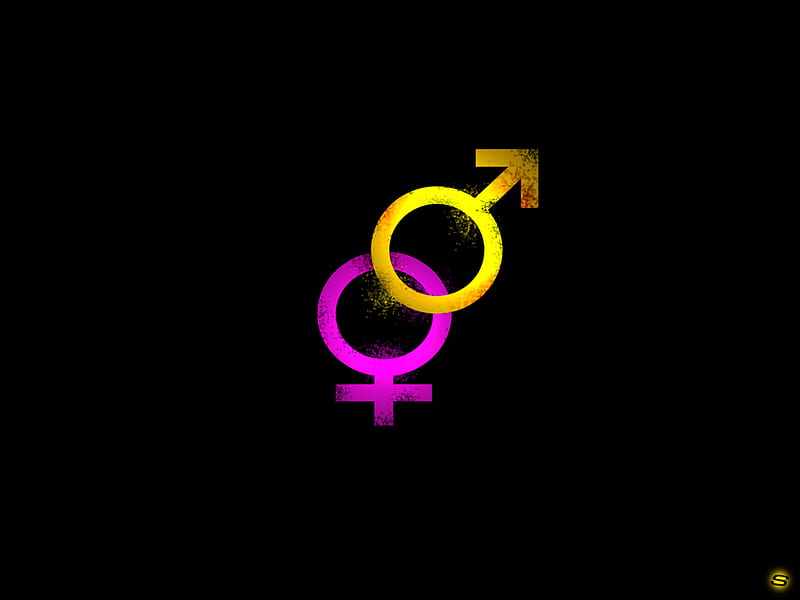 Genders, sexual, female, original, male, sher ali, sher, ali, boy, logo, girl, sexuality, sex, gender, HD wallpaper