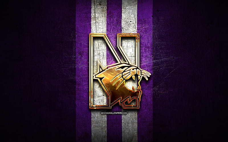 Northwestern Wildcats, golden logo, NCAA, violet metal background, american football club, Northwestern Wildcats logo, american football, USA, HD wallpaper