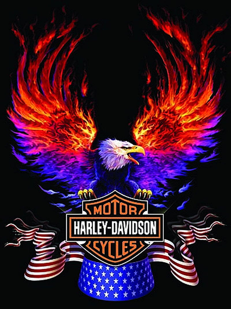 Harley Davidson Logo - Harley Davidson Tattoos Aguila -, HD phone wallpaper  | Peakpx