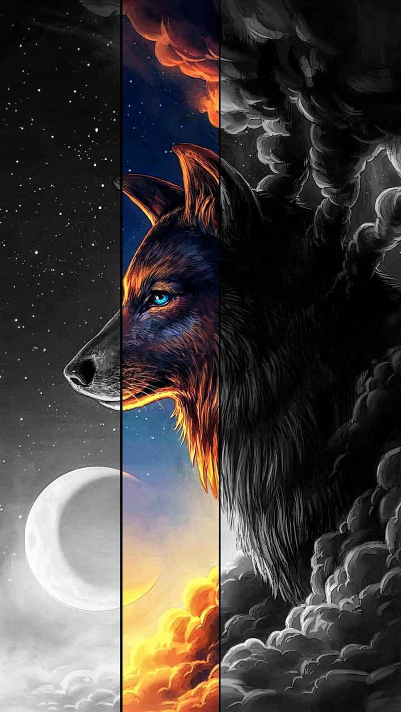 Wolf, beautiful wolf, black wolf, HD phone wallpaper