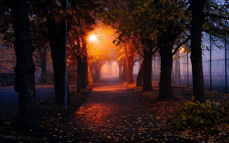 Autumn Path, fall, leaves, streetlights, park, trees, HD wallpaper