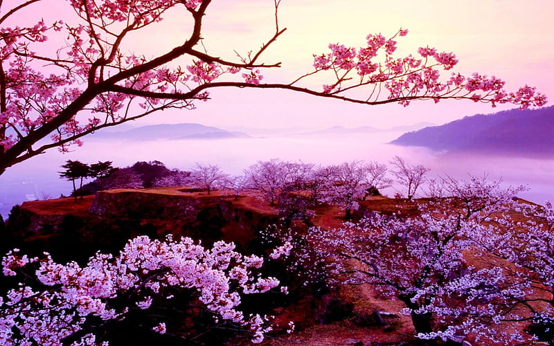 Japanese cherry tree, Mountains, Tree, Blossom, Sakura, HD wallpaper